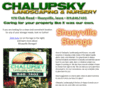 chalupskylandscaping.com