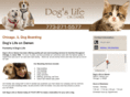 dogdaycareandboarding.com