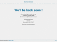 thebizelement.com