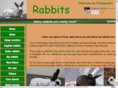 englishrabbit.org