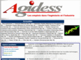 agidess.com