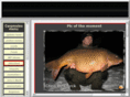 carpmates.be