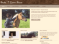 rockintequinerescue.com