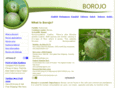 borojo.net