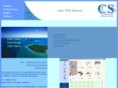 ccssllc.com