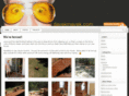 davekrnavek.com