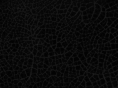 kdwa.net