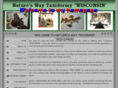 natureswaytaxidermy.com