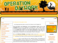 operationdaywork.org