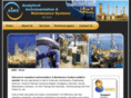 aimsgt.com
