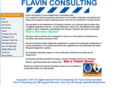 flavinconsulting.com