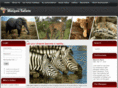 mangwesafaris.com
