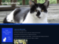 cat-lady-publishing.com