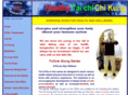 healthytaichichikung.com