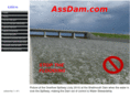 assdam.com