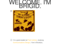 brigidbarrett.com