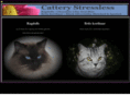 cattery-stressless.net