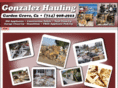 gonzalezhaulingsvcs.com