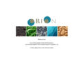 orion-environmental.com