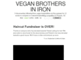 brothersiniron.com