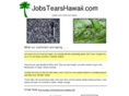 jobstearshawaii.com