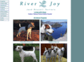 river-joy.com