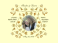 sanderandlaura.org