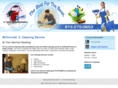 stephensoncounty-cleaningservice.com