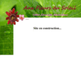 auxfleursdusoleil.com