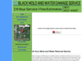 blackmoldwaterdamage.com