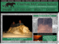 cmsafaris.com