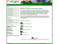 mtfinanceonline.com