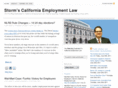 stormsemploymentlaw.com