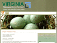 virginiabankruptcygroup.com