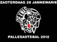 pallesaotebal.nl