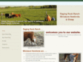 ragingrockranch.com