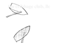 thecribbageclub.com