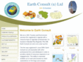 earthconsultu.com