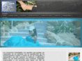 grafervideos.com