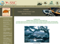 iucn-turtlespecialistgroup.org