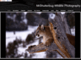 mrshutterbug.com