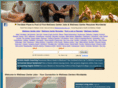 wellnesscenterjobs.com