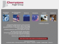 cherrystoneangelgroup.com