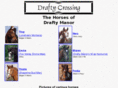 draftycrossing.com
