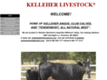 kelleherlivestock.com