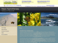 napahypnotherapy.com