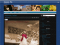 saeedzia.com