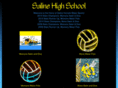salineh2o.com