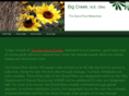thebigcreek.com