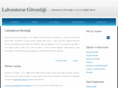labguvenligi.com